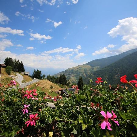 Bed and Breakfast Bleusydyllique à Nendaz Extérieur photo