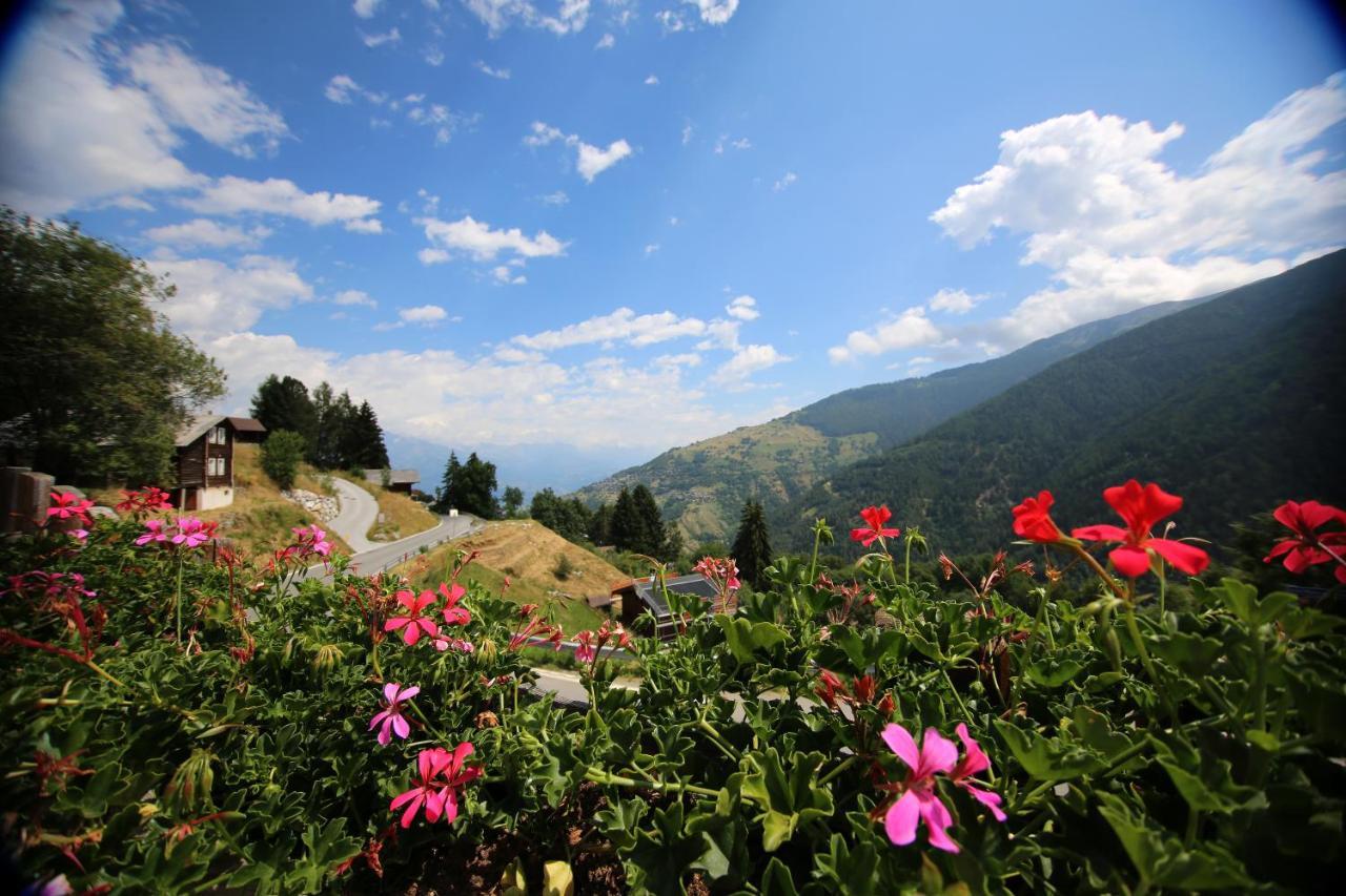 Bed and Breakfast Bleusydyllique à Nendaz Extérieur photo